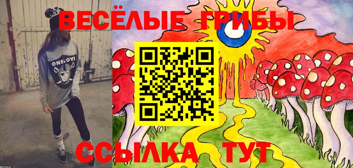 продажа наркотиков  Вход с VPN  Советск  Псилоцибиновые грибы MAGIC MUSHROOMS 